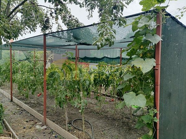 Дом с участком, 110 кв.м. Дом с участком, 110 кв.м.