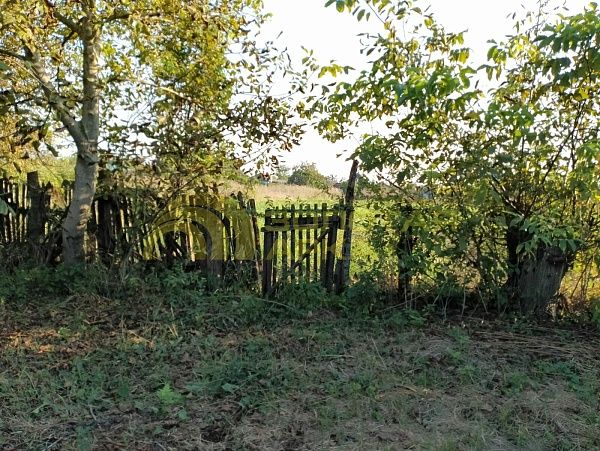 Дом с участком, 42 кв.м. Дом с участком, 42 кв.м.