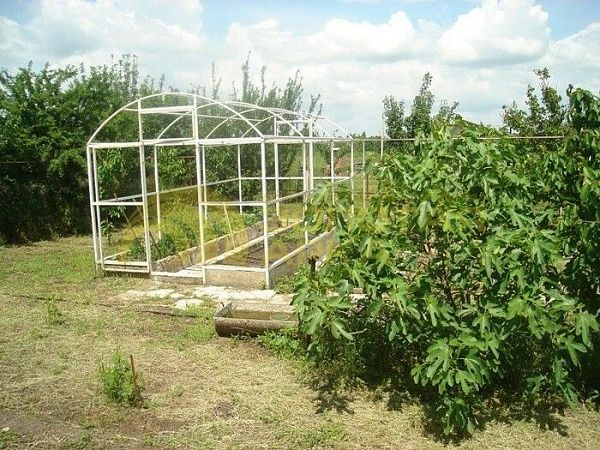 Дом с участком, 267 кв.м.