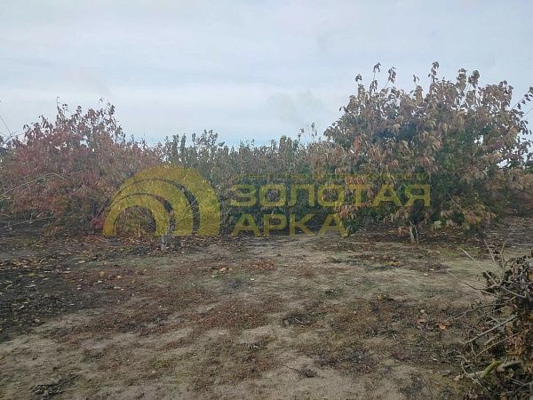 Дом, 62 кв.м.