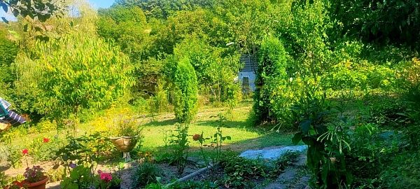 Дом с участком, 42 кв.м. Дом с участком, 42 кв.м.