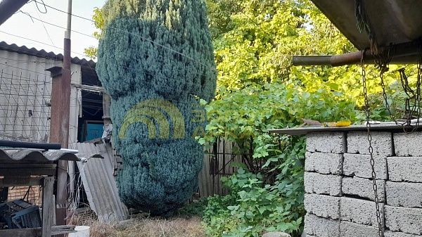 Дом, 77 кв.м.