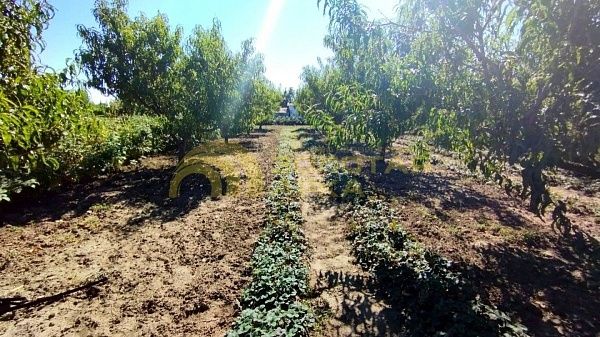 Участок, Краснодарский край, Темрюкский район, Вышестеблиевская