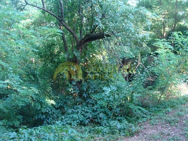 Участок, Краснодарский край, Северский район, Смоленская