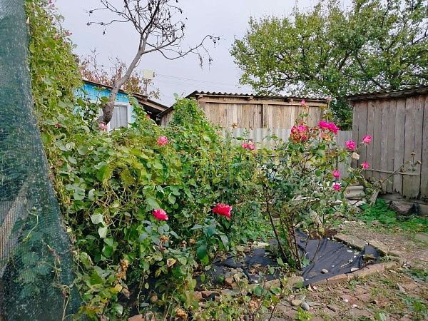 Дом, 42 кв.м.