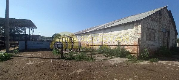 Производственное помещение, 870 кв.м. Производственное помещение, 870 кв.м.