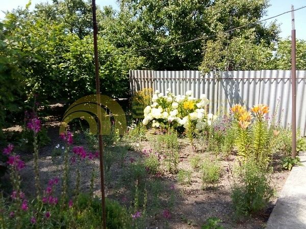 Дом с участком, 77 кв.м. Дом с участком, 77 кв.м.