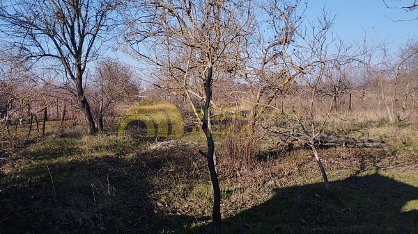 Дом с участком, 58 кв.м.