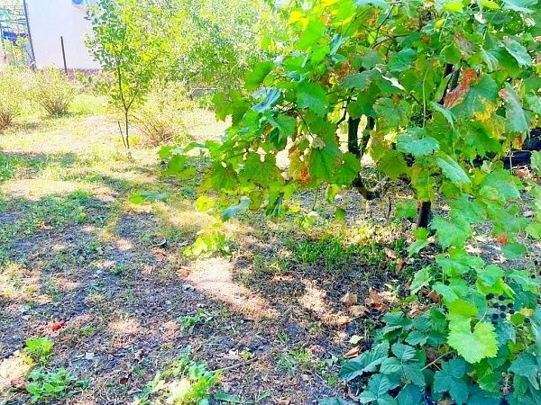 Дом с участком, 49 кв.м.