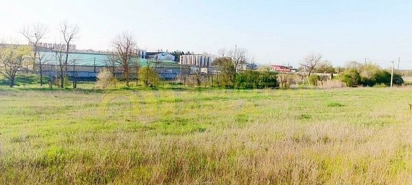 Участок, Краснодарский край, Крымский район, Павловский