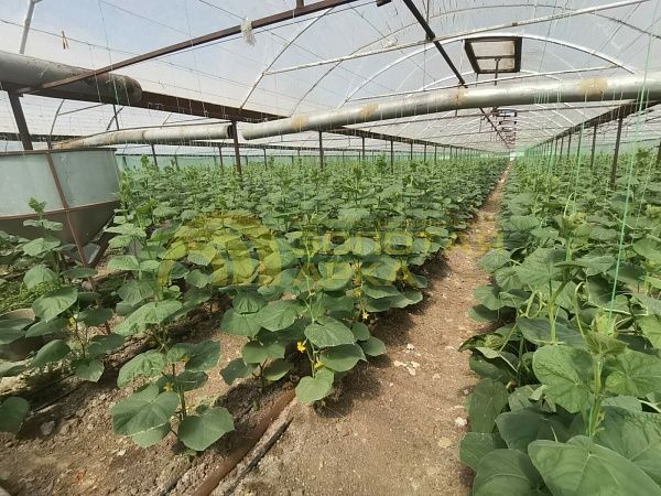 Производственное помещение, 3400 кв.м.