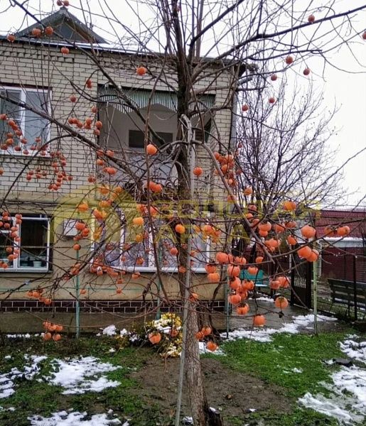 Дом, 149 кв.м.