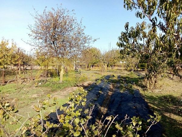 Дом с участком, 56 кв.м. Дом с участком, 56 кв.м.