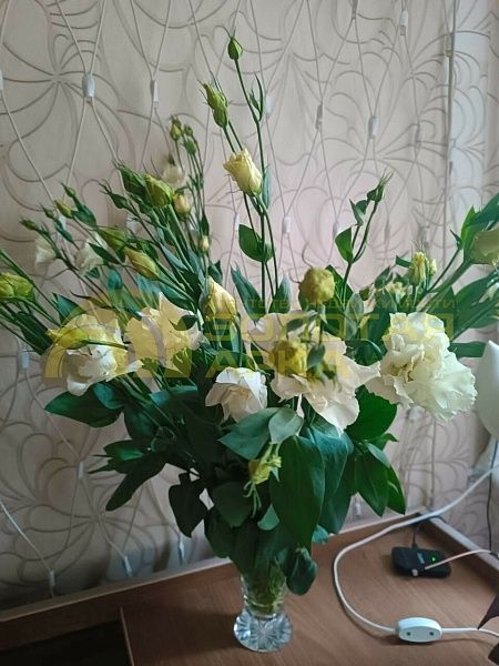 Готовый бизнес, 750 кв.м.