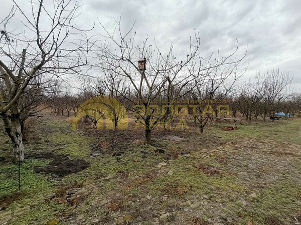 Дом с участком, 330 кв.м. Дом с участком, 330 кв.м.