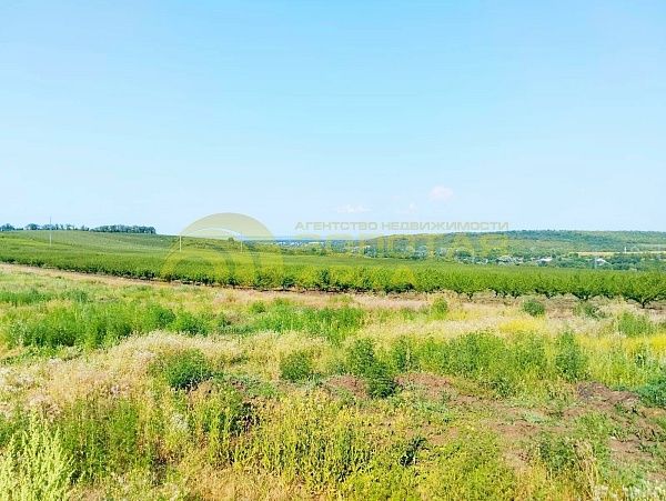 Земли коммерческого назначения, 7.8  гектар, 
