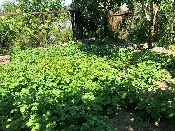 Дом с участком, 80 кв.м. Дом с участком, 80 кв.м.
