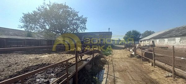 Производственное помещение, 870 кв.м. Производственное помещение, 870 кв.м.