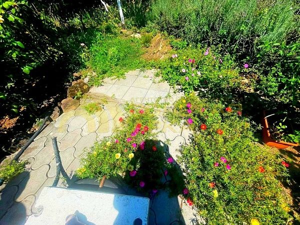 Дом с участком, 85 кв.м.