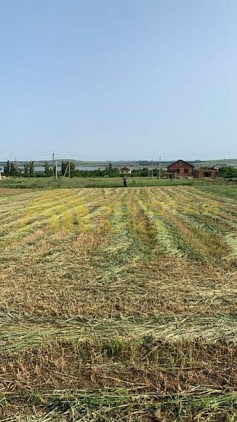 Участок, Краснодарский край, Темрюкский район, Старотитаровская