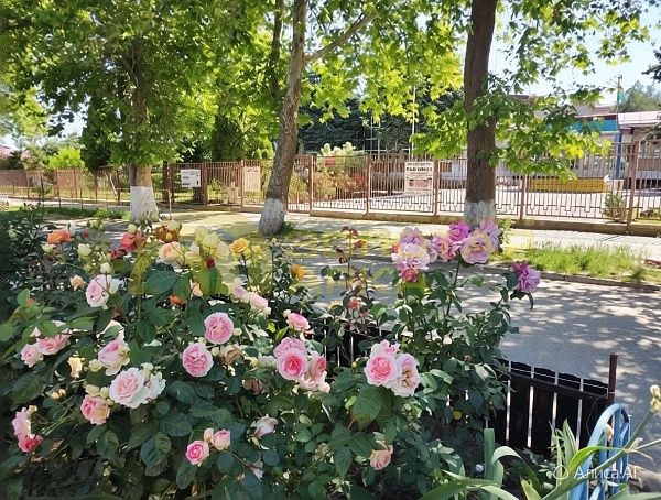 4-к квартира, 81 кв.м., улица Красная, дом 36