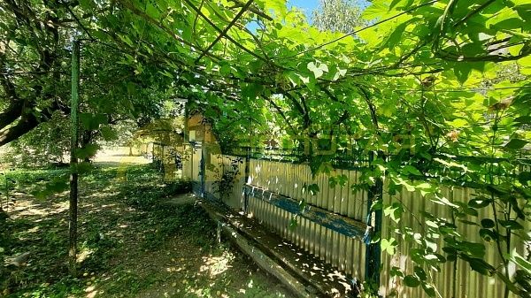 Дом с участком, 56 кв.м. Дом с участком, 56 кв.м.