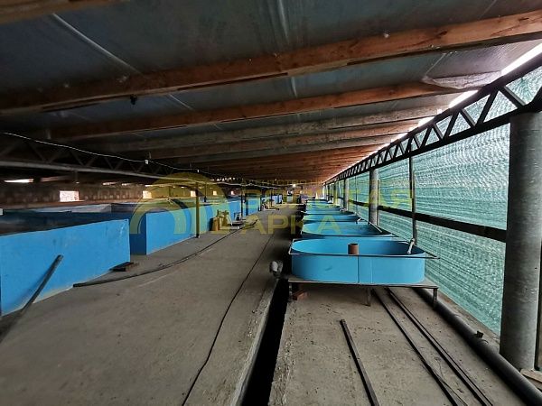 Дом с участком, 330 кв.м. Дом с участком, 330 кв.м.