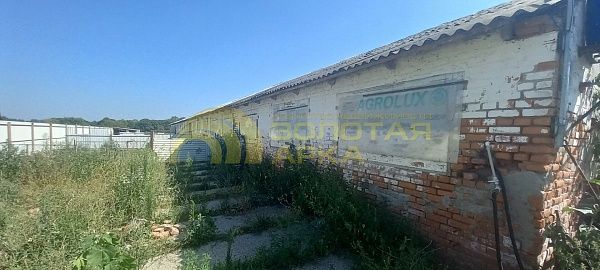 Производственное помещение, 870 кв.м. Производственное помещение, 870 кв.м.