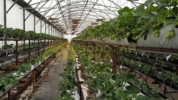 Производственное помещение, 3500  кв. м, улица Ленина
