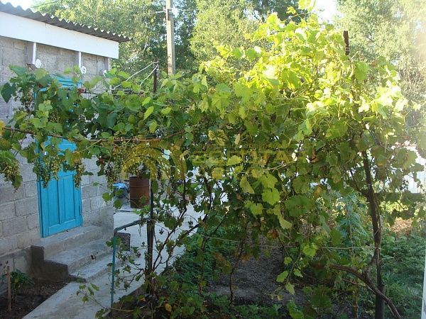 Дом с участком, 48 кв.м.