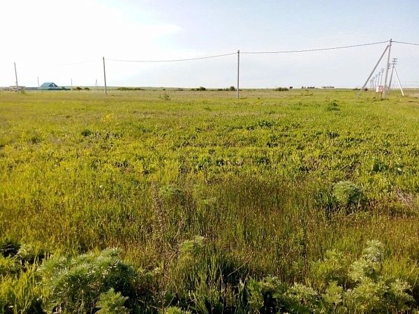Участок, Краснодарский край, Темрюкский район, Кучугуры