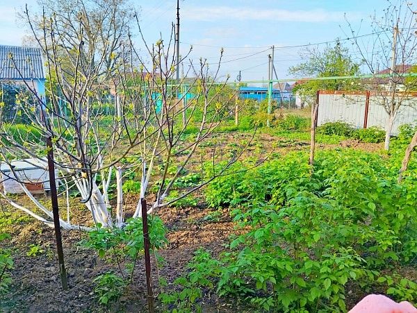 Дом с участком, 230 кв.м.