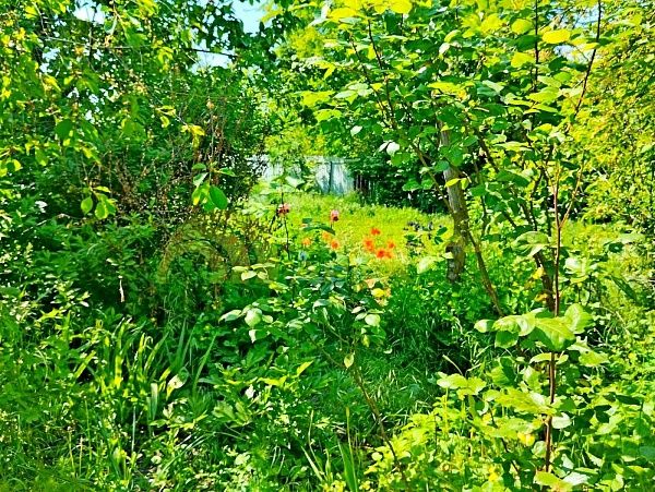 Дом с участком, 48 кв.м. Дом с участком, 48 кв.м.