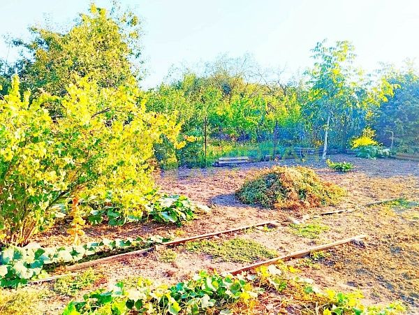 Дом с участком, 90 кв.м. Дом с участком, 90 кв.м.