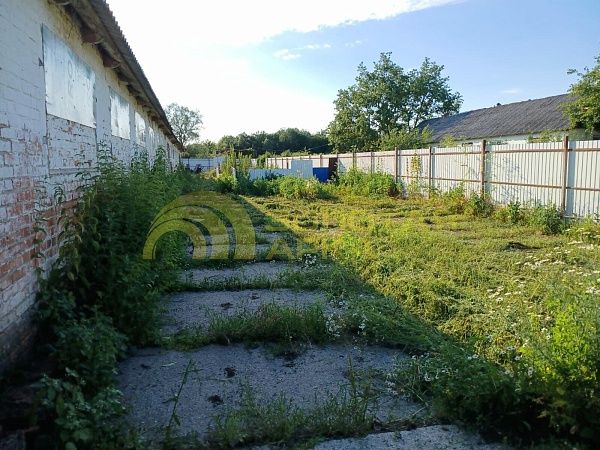 Готовый бизнес, 870  кв. м, 
