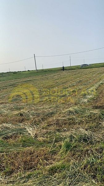 Участок