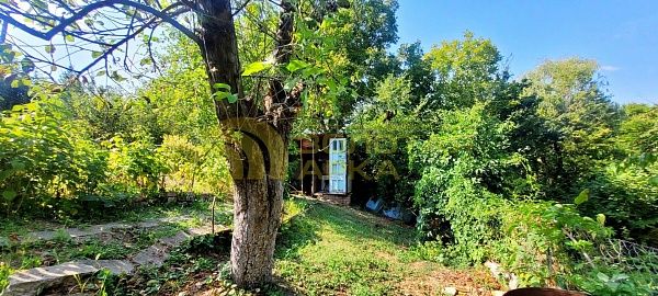 Дом с участком, 42 кв.м. Дом с участком, 42 кв.м.