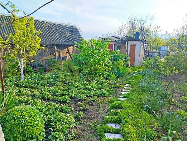 Дом с участком, 230 кв.м.