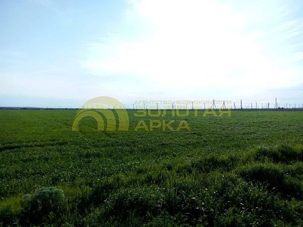 Участок, Краснодарский край, Темрюкский район, Старотитаровская