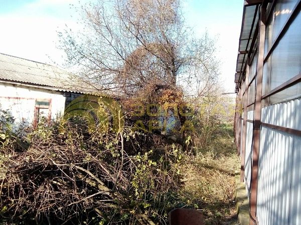 Дом с участком, 45 кв.м. Дом с участком, 45 кв.м.