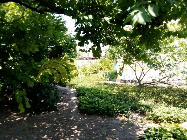 Дом с участком, 77 кв.м. Дом с участком, 77 кв.м.