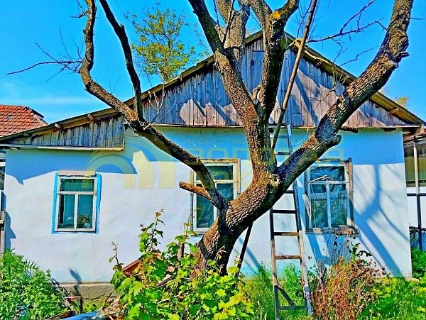 Дом с участком, 48 кв.м. Дом с участком, 48 кв.м.