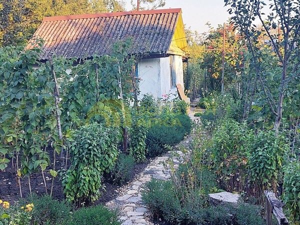 Участок, Краснодарский край, Крымский район, Виноградный