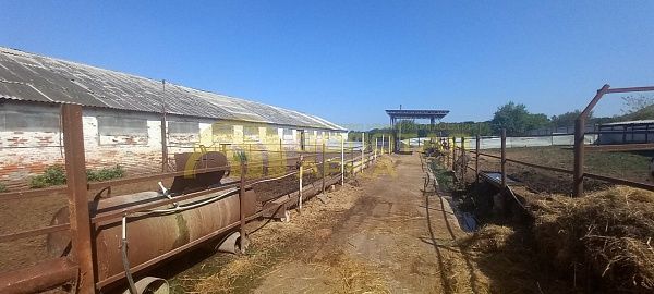 Производственное помещение, 870 кв.м. Производственное помещение, 870 кв.м.