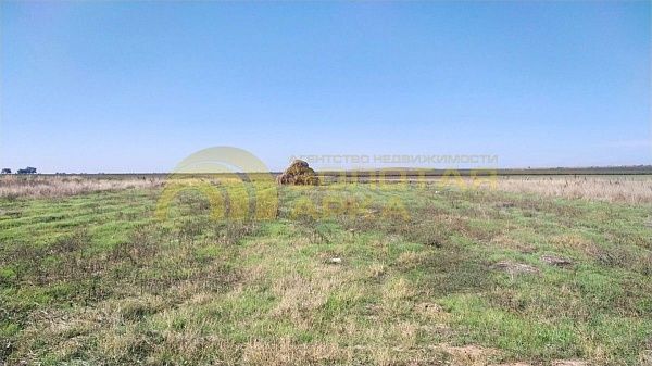 Участок, улица Виноградная