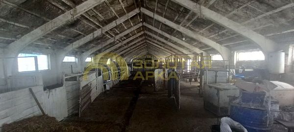 Производственное помещение, 870 кв.м. Производственное помещение, 870 кв.м.