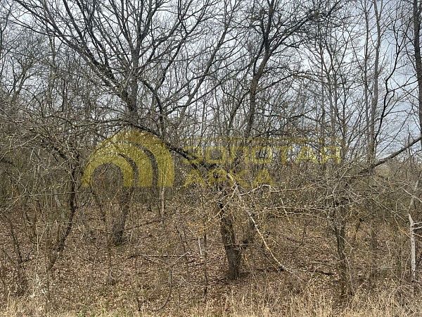 Участок, Краснодарский край, Крымский район, Школьный