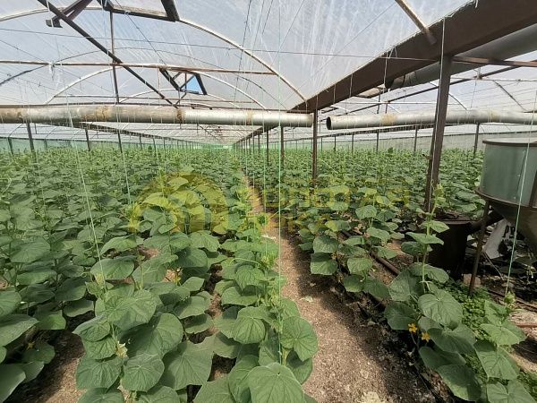 Производственное помещение, 3400 кв.м.