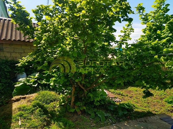 Дом с участком, 50 кв.м. Дом с участком, 50 кв.м.