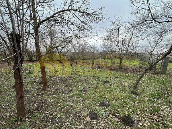 Дом с участком, 38 кв.м.